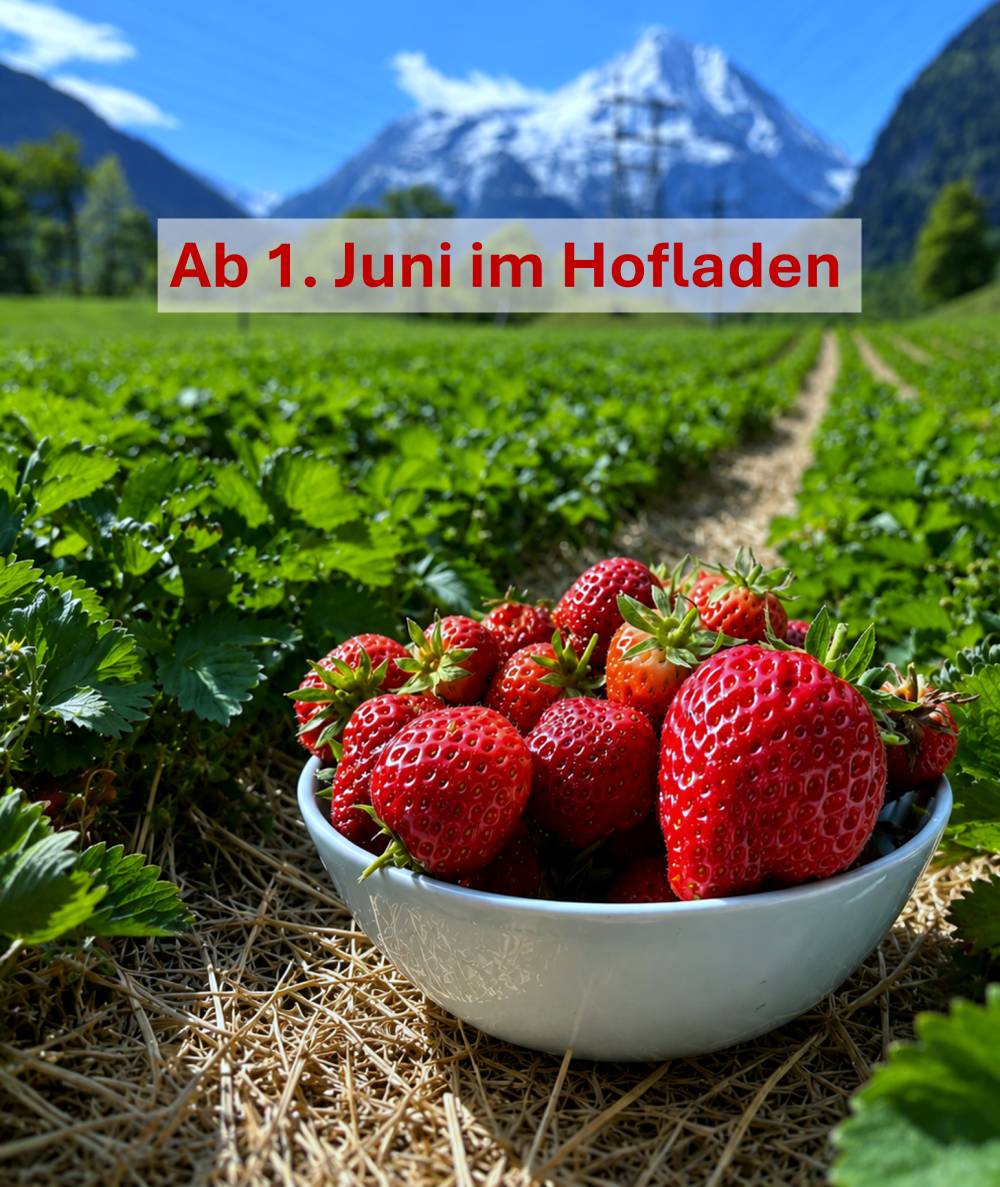 News_Erdbeeren